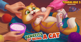 Coral Isle 2: Tropische Geschichten - Vorteile, eine Katze zu sein