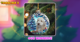 Coral Isle 2: Tropical Stories - Our Winners