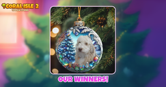 Coral Isle 2: Storie tropicali - I nostri vincitori