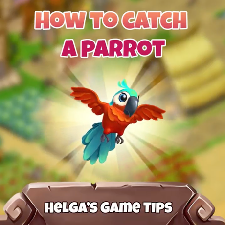 How to catch a parrot?