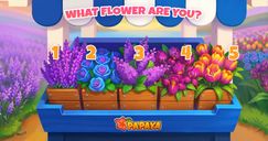 Papaya: Summer Farm - Discover Your Personality Flower 🌸