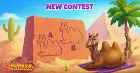 Papaya: Summer Farm - Nuovo concorso!