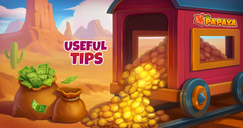 Papaya: Summer Farm - Quelques conseils