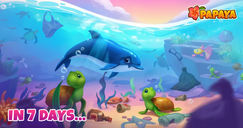 Papaya: Summer Farm - De update komt eraan!
